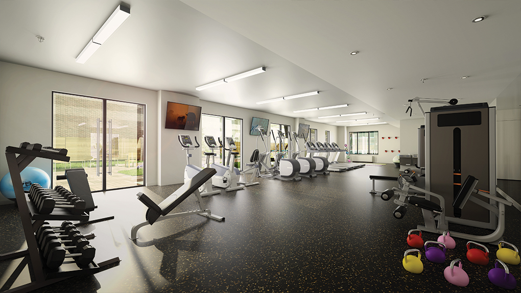 Bright Spacious Gym with Weights and Workout Machines